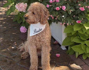 Custom Dog Bandana with Name – Adjustable Straps, Personalized Pet Accessory