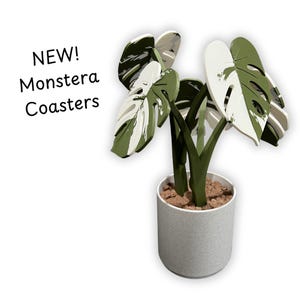 Updated Monstera Leaf Coasters – 3 Leaf Styles – The Original Design Reimagined