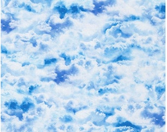 Cloud from Imaginings-Robert Kaufman - Cotton Fabric