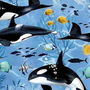 Swimming Killer Whales - Blue - Timeless Treasures - Cotton Fabric