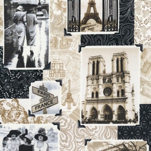 Paris Noir - Timeless treasures - Cotton Fabric
