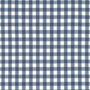 May include: A white and blue gingham fabric with a repeating pattern of squares.
