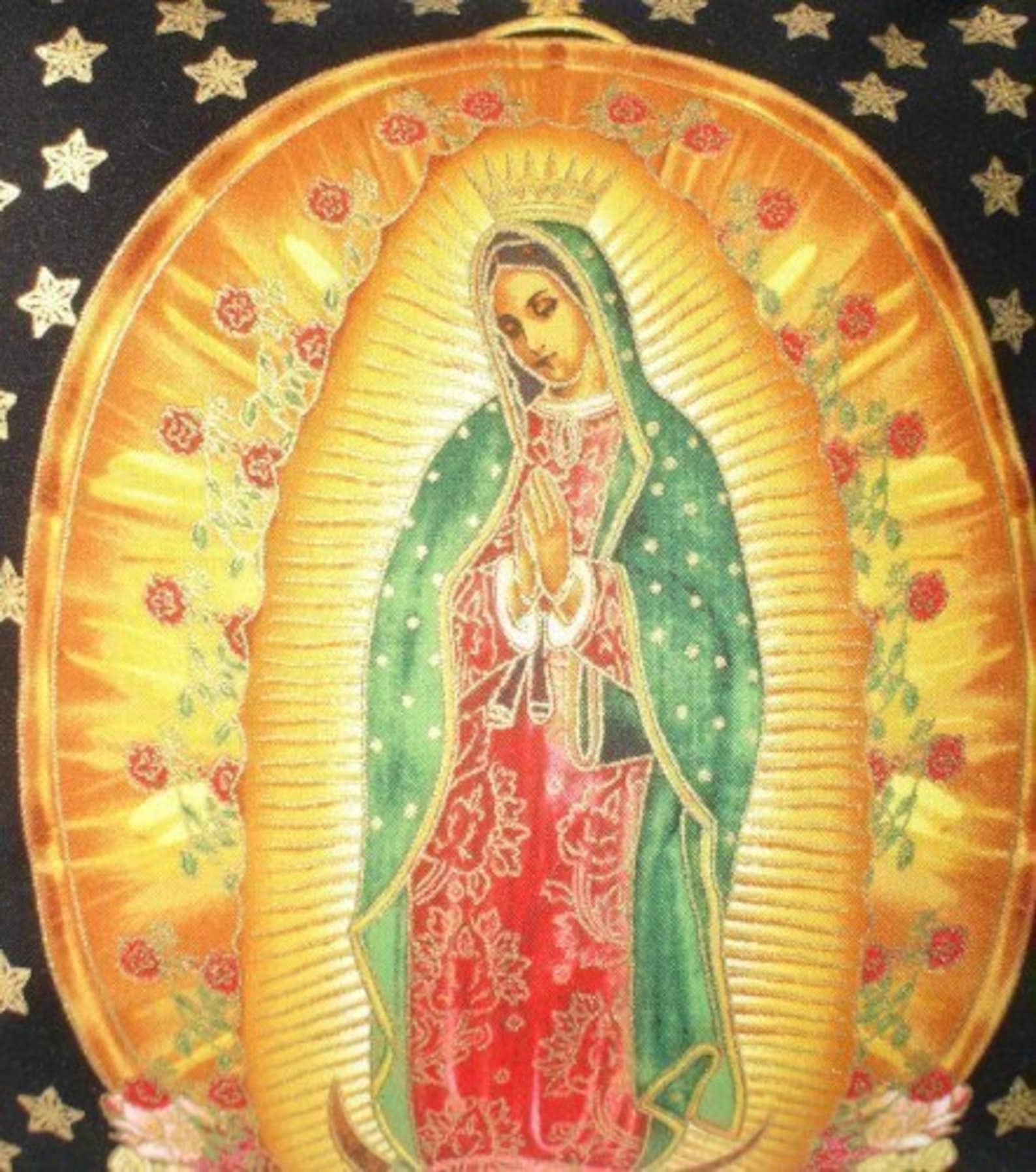 Our Lady of Guadalupe Fabric 4 Panels - Etsy