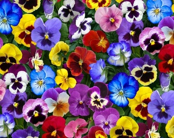 Lovely Pansies - Elizabeth's Studio - Cotton Fabric