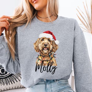 Pu&ograve; includere: Una felpa grigio chiaro con un'illustrazione festiva di un cane. Il cane, con un cappello da Babbo Natale e luci a catena, ha il nome "Molly" scritto sotto. La felpa ha maniche lunghe e girocollo.