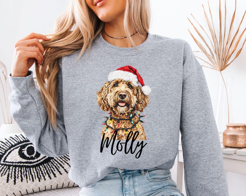 Pu&ograve; includere: Una felpa grigio chiaro con un'illustrazione festiva di un cane. Il cane, con un cappello da Babbo Natale e luci a catena, ha il nome "Molly" scritto sotto. La felpa ha maniche lunghe e girocollo.
