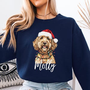 Pu&ograve; includere: Felpa blu navy con un cane golden doodle con cappello da Babbo Natale e luci. Il nome del cane, "Molly", &egrave; scritto in bianco. La felpa &egrave; a girocollo.