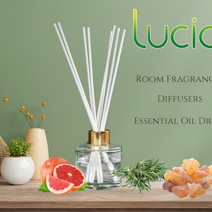 Puede incluir: Una botella de difusor de vidrio transparente con tapa dorada y varillas difusoras blancas. La botella está sobre una superficie de madera con un pomelo, ramitas de romero y cristales de color ámbar. El texto "Lucid" está en letras verdes sobre el texto "ROOM FRAGRANCES, DIFFUSERS, ESSENTIAL OIL DROPS".