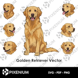 Golden Retriever Vectoriel – 1 Corps + 6 Têtes – SVG PNG PDF – Fichier Chien pour Cricut, Découpe Laser, Sublimation et Impression