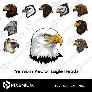 Vecteurs Premium Têtes d'Aigle en SVG et PNG - Pour Cricut, Silhouette, Laser, CNC, Sérigraphie, Vinyle et Sublimation