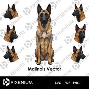 Vecteur Malinois Belge | 7 Illustrations de Chien en SVG PDF PNG pour Cricut et Sublimation