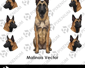 Belgian Malinois Vector | 7 Dog Illustrations in SVG PDF PNG for Cricut and Sublimation