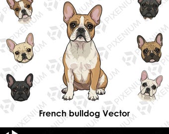 French Bulldog Vector – 1 Full Illustration + 6 Heads in Various Poses – SVG, PNG, PDF