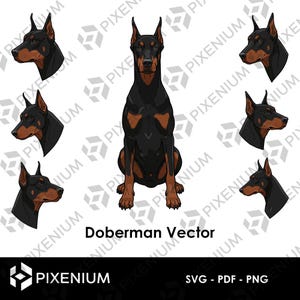 Doberman Vettoriale – 6 Teste + 1 Corpo Completo Seduto | SVG PNG PDF | Illustrazioni per Artigianato e Sublimazione