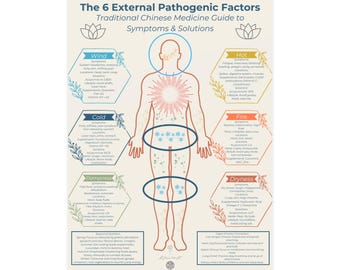 Holistic Health Vertical Poster 18x24, Traditional Chinese Medicine Wall Art, 6 External Pathogenic Factors