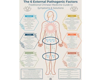 Chinese Medicine Satin Poster, 6 Pathogenic Factors, Wellness Decor