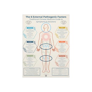 Póster de cartón pluma de 18 x 24, arte de pared de salud holística, impresión de 6 factores patógenos externos, decoración de medicina china, regalo de bienestar, alternativa