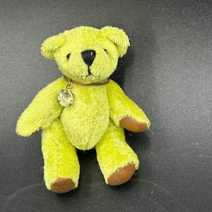 May include: A small, fuzzy, lime-green teddy bear with a dark brown nose and eyes. The bear features brown paw pads and wears a thin, dark brown cord necklace adorned with a single, clear, faceted circular crystal pendant hanging at the center.