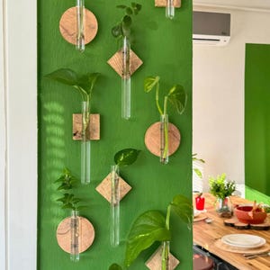 Wandpflanzer, Wanddekor, Vermehrungsstation, Wandvase, Holzvase, Wandpflanzer drinnen, 5er-Set Wandvase, Wandbehang, hängender Pflanzer