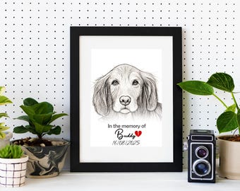 Custom Pet Sketch Portrait From Photo - Personalized Sketch Gift (Digital Download)