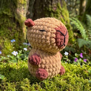 May include: A small, round, crocheted capybara plush toy made from tan yarn with dark brown accents on the ears, nose, and feet. The figure features a stitched black nose and mouth detail, with closed eyes, and a soft, textured yarn construction.