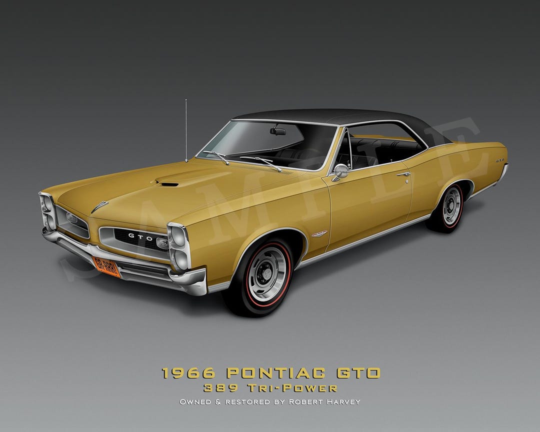 1/24 1966年型ポンティアックGTO（カスタム品） il_1080xN.6866427301_h6q7.jpg