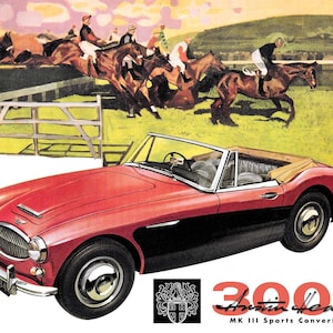 Austin Healey 3000 Mk III All-Weather banner