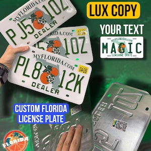 Custom Florida License Plate / Dealer Florida License Plate / Florida License Plate with YOUR TEXT / Personalized Florida License Plate