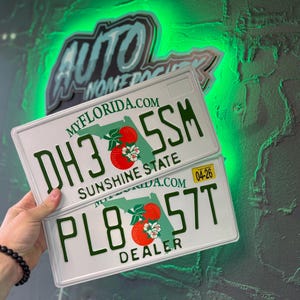 Custom Florida License Plate / Dealer Florida License Plate / Florida License Plate with YOUR TEXT / Personalized Florida License Plate