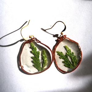 Cedar Window Earrings