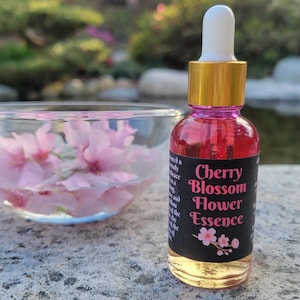 Cherry Blossom Flower Essence
