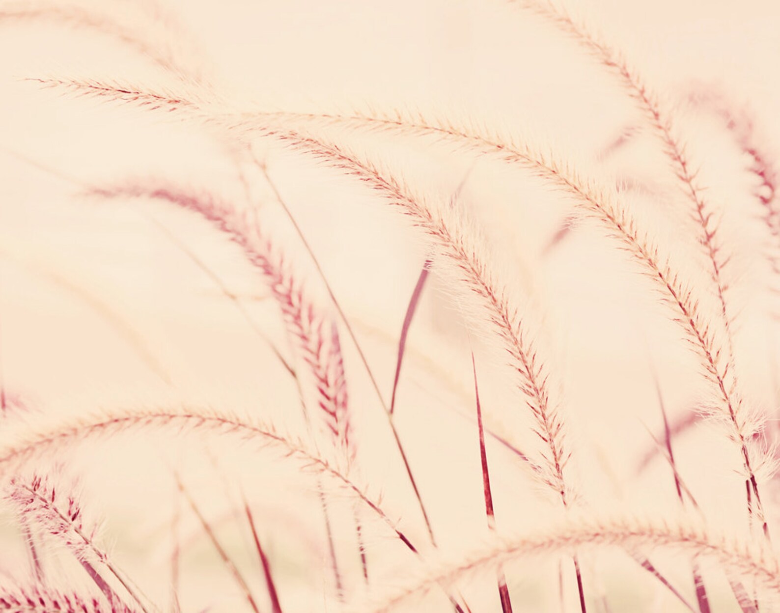 Conjunto de fotografía de la naturaleza de 3 impresiones | Etsy