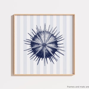 sea urchin art, nautical boy nursery, under the sea room, kid bathroom wall art, sea animal print, coastal beach wall decor, printed artwork