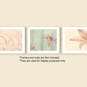 Conjunto de fotografía de la naturaleza de 3 impresiones | Etsy