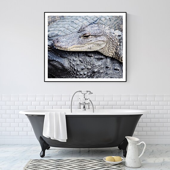 Alligator Photos Toddler Boy Room Decor Alligator Bathroom Etsy