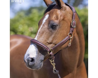 Cabezada de cuero hecha a mano para caballos / Cabezada negra y marrón