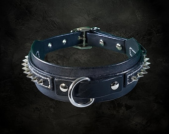 Spiked black leather dog collar with silver hardware