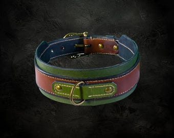 Green and brown leather dog collar with antique brass hardware