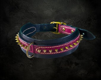 black/ red leather dog collar with antique brass hardware