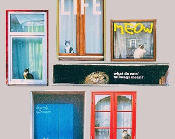 Retro Style Cat Window Fridge Magnets – Aesthetic Cat Lover Gift & Home Decor, Birthday, Housewarming