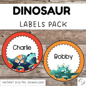 Dinosaur Labels Pack Editable Personalised Classroom School Display Dinosaur Decor Teacher Resources Classroom Organisation School Supplies