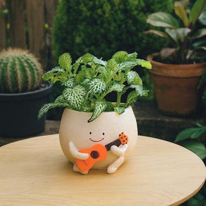 Cute flower pot with smiley face and guitar – musical flower pot with guitar/ukulele | Plant pot | Home decoration or as a gift
