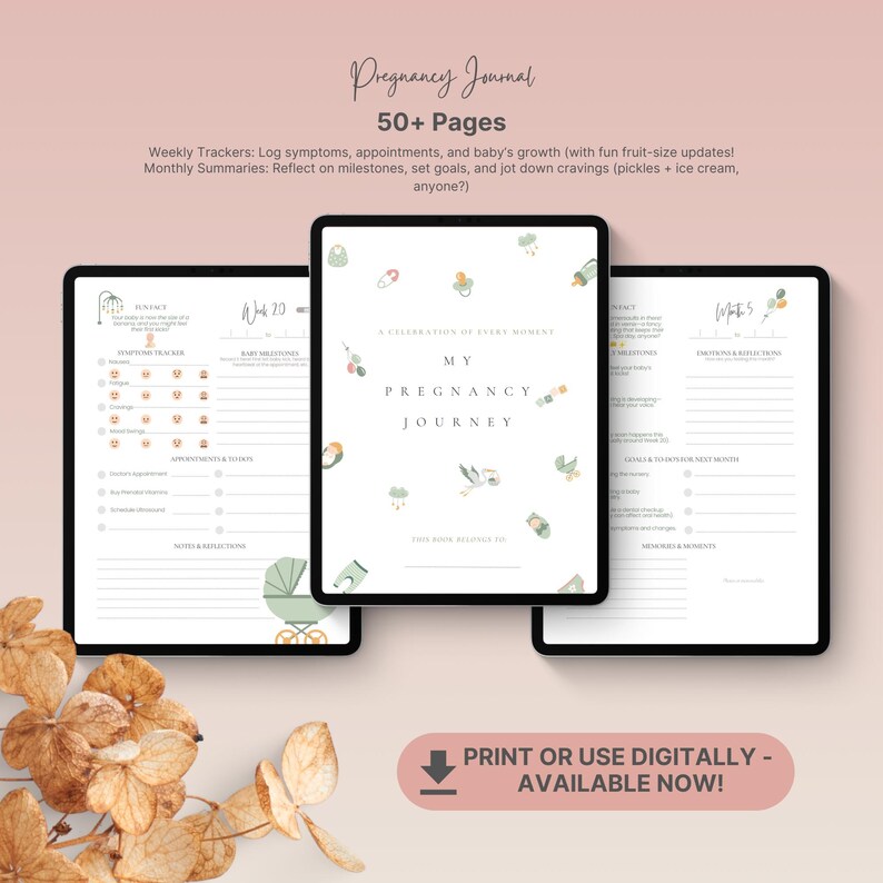 2025 Pregnancy Planner and Tracker for First Time Mom | Weekly and Monthly Journal for Expecting ...