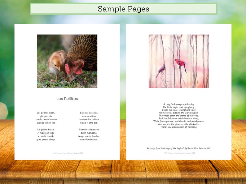 montessori-classic-read-aloud-reading-for-the-ami-classroom-etsy