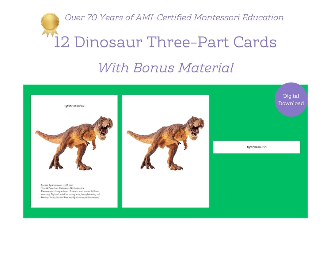 Montessori Dinosaur Three-part Matching Cards in Digital Download PDF ...