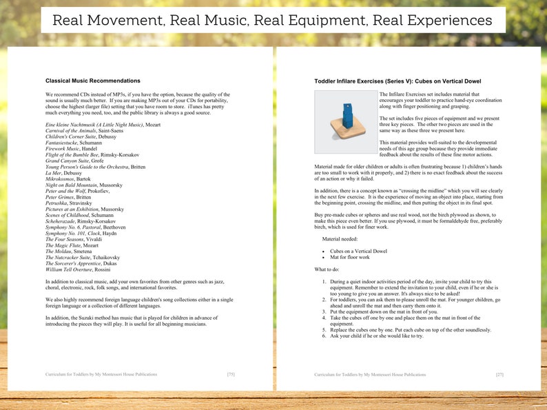 May include: A page from a book titled "Curriculum for Toddlers by My Montessori Home Publications" with a section on toddler infilare exercises using cubes on a vertical dowel. The page includes a diagram of the exercise and a list of materials needed, including cubes, a vertical dowel, and a mat for floor work.