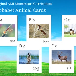 Lecture phonétique Montessori : alphabet des animaux et cartes de mots en téléchargement numérique