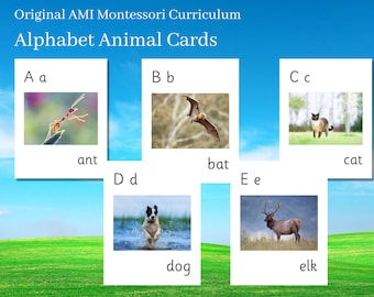 Montessori Phonics Reading: Animal Alphabet and Word Cards Digital Download