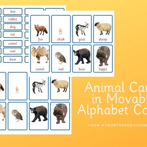 Animal Cards With Real Photos and Montessori Movable Alphabet - Etsy Animal Cards With Real Photos and Montessori Movable Alphabet - Etsy