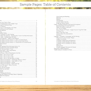 May include: A table of contents for a book titled "Curriculum for Toddlers" by My Movement Sense Publications. The book covers topics such as Montessori fundamentals, nurturing the absorbent mind, independent eating, toilet training, gross motor development, language, vocabulary, pre-reading, and pre-writing.